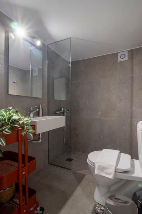 Studio Divine Near City Centre Bendevís エクステリア 写真